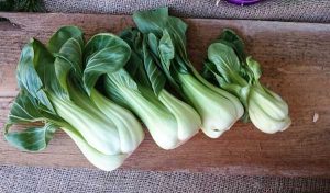 IMG_20170111_103528_600_645